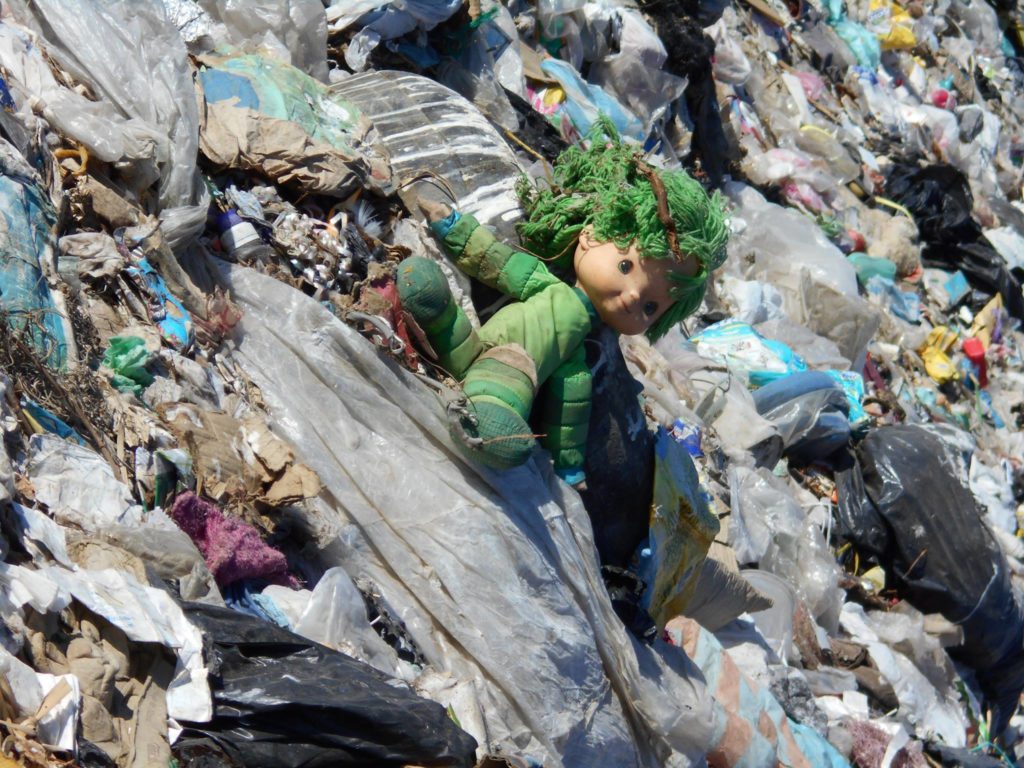 18766656_1395317230507346_2773146037182737808_o